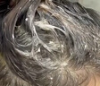 章华（SAVOL）生态染发霜栗子棕色（不含对苯二胺染发剂健康染发） 实拍图