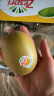 佳沛（zespri）新西兰金奇异果巨大果22粒原箱猕猴桃单果约146-175g母亲节礼盒  实拍图