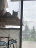 霍曼（Homerun）宠物智能自动喂食器猫粮狗粮定时猫咪自动投食机不锈钢双碗增高版 实拍图