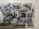 粽子蜜枣豆沙八宝混合粽子1kg/袋端午粽子早餐佐餐需加热即食 混合粽子1kg（13个左右）x1袋 实拍图