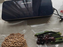 摩飞电器（Morphyrichards） 全自动抽真空封口机家用食品包装机零食密封机水果蔬菜肉类保鲜机干湿两用塑封机MR1118 MR1118标配【密封不漏气】 实拍图