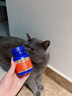 USPET英国狗狗猫咪鲨鱼软骨素片宠物骨骼关节保护修复补钙健骨片200片 实拍图