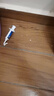 拜灭士德国拜耳蟑螂药杀虫剂杀蟑胶饵家用厨房全窝室内端除蟑螂饵剂 【买2送1】杀蟑胶饵5g 实拍图