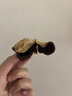 正宗广东新会陈皮十年特产陈皮十五年泡水专用礼品罐装天马特级 10年新会陈皮250克陈皮丝 实拍图