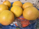 京鲜生 南非红西柚/葡萄柚8粒装 单果200g起 新鲜水果 源头直发 包邮 实拍图
