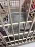 HELLOJOY狗狗厕所防踩屎小型犬尿盆便盆不锈钢小狗大小便狗砂盆 围栏18mm 实拍图