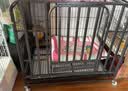 憨憨宠 狗笼 狗笼子中大型犬小型犬带厕所加粗加固金毛拉布拉多方管笼子 黑浮银79*54*73CM含轮高度 35斤内适用 实拍图