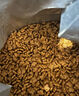 皇家幼猫奶糕 幼猫猫粮 BK34 通用粮 1-4月 2KG 实拍图