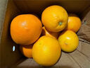 江西赣南早脐橙整箱当季新鲜早橙子榨汁水果礼盒皮薄多汁节日团购 【60%人选】净重4.5斤单个200g+ 实拍图