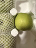 京鲜生山东王林苹果 净重3.5斤 单果130g+ 新鲜时令水果 源头直发 实拍图