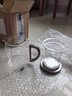 忆壶茶（YIHUTEA） 玻璃茶杯加厚水杯大容量茶水分离杯办公家用泡茶杯子耐热玻璃杯 【鹰嘴不挂流】透明书辰壶500ML 实拍图