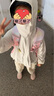 蕉下儿童防晒服外套披风男女童凉感透气防晒AL41324霜奶白130 实拍图