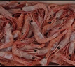 鲜京采 原装进口格陵兰北极甜虾刺身2斤装 90-150只/kg 即食 MSC认证 实拍图