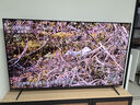 TCL电视 75Q9L Pro 75英寸 QD-Mini LED 蝶翼星曜屏 万象分区 绚彩XDR4500nits 超薄 国家补贴20% Q9K 实拍图