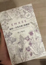 嫚熙（EMXEE）一次性高腰内裤纯棉日抛大码免洗内裤孕妇旅行商务出差生理期内裤 实拍图