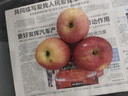 司道和山正宗山东烟台红富士苹果新鲜水果4.5斤当季整箱圣诞平安果栖霞 80-85MM【大果】 净重8.5斤 实拍图