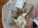 房山平菇300g 实拍图