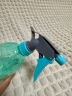 喷壶浇花浇水喷雾器气压式喷水壶家用园艺养花500ml 南瓜喷壶透蓝【1个装】 实拍图