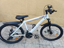 凤凰（Phoenix） 上海凤凰山地自行车成人男士女式学生变速宽胎越野赛车公路单车 铝架辐条轮白【省力全轴承】 24寸27速【参考:138-168cm】 实拍图