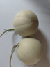 果当爱山东头茬玉菇甜瓜冰淇淋香甜瓜当季软糯香甜山东水果绿肉当季现货 5斤【商超品质超大果净重4.5斤】 实拍图
