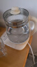 九阳（Joyoung）0胶水养生壶 1.5L煮茶器 玻璃花茶壶 316不锈钢烧水壶电热水壶 WY301 实拍图