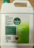 滴露（Dettol）消毒液5L大桶装消毒水家用商用工业车间酒店物业衣物环境消毒杀菌 实拍图