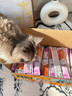 HELLOJOY猫条猫咪零食混合成幼猫湿粮主食补水发腮营养增肥批发15克*300支 实拍图