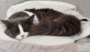 领先【甄嬛传联名款】主食猫罐头85g*6罐混合口味湿粮全价猫粮 实拍图