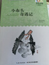 小布头奇遇记/百年百部经典书系 小学3-4年级阅读拓展书目 课外阅读 暑期阅读 课外书暑假作业 一升二暑假衔接 小升初暑假衔接 实拍图
