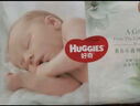 好奇（Huggies）心钻装小森林纸尿裤XL32片(12-17kg)加大号尿不湿透气夏季超薄 实拍图