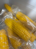 京鲜生东北水果玉米3.6斤 8根单根220g东北甜玉米棒开袋即食 源头直发 实拍图