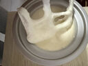 美膳雅冰淇淋机家用小型全自动意式gelato冰激凌机制冰雪糕机 冰沙白冰淇淋机 实拍图