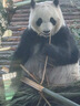 欧莱雅复颜水乳霜套装补水保湿抗皱紧致护肤品套装礼盒生日礼物 实拍图