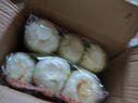 【超市品质】新鲜精品娃娃菜现砍现发小包装新鲜蔬菜生鲜产地直发 新鲜娃娃菜1*(3棵)*1包 实拍图