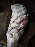 涝河桥 供港宁夏滩羊 羊前腿 3斤 原切羊腿滩羊肉生鲜烧烤食材 实拍图