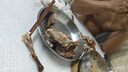 苏皇鸭南京酱板鸭1000g整只2斤 无防腐剂熟食腊卤味下酒肉菜特产食品 实拍图