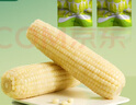 天勤粒粒净白糯玉米段120g*10段（2.4斤）新玉米糯玉米真空包装低脂早餐代餐 实拍图