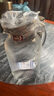 青苹果耐热玻璃凉水壶1.6L 可明火直烧冷水壶花茶壶泡茶围炉煮茶壶 实拍图