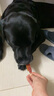 麦富迪狗狗零食 奢华营养鸭肉干1200g成幼犬磨牙训练奖励解馋宠物零食 实拍图