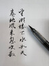 派通（Pentel ）科学毛笔练字软毛笔 书法笔便携彩色绘画手帐手绘 XFL2W  实拍图
