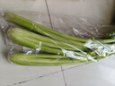  大芹菜约400g 实拍图