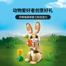 乐高（LEGO）积木拼装31162 可爱的兔子男孩女孩儿童玩具生日礼物 实拍图