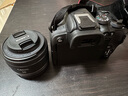 佳能r10 微单相机 轻量小型 APS-C画幅 eos r10 高速连拍 踏青 打鸟vlog数码照相机 R10单机身拆+RF50 1.8【人像小痰盂】 套餐一【含64G内存卡~送599摄影大礼包】 实拍图