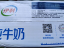 伊利 纯牛奶整箱250ml*21盒 全脂牛奶 优质乳蛋白 礼盒装 3月底产 实拍图