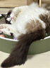尾巴生活NFC三莓原浆补水猫咪羊奶益生菌宠物零食猫草排毛 【小金杯】液体卵磷脂20ml*10 1盒 实拍图