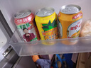 珍珍砂糖桔味汽水 碳酸饮料 330ml*24听 整箱装（包装随机） 实拍图