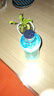 雅丽洁黄瓜水550ml 植物保湿精华水化妆水湿敷爽肤水细致保湿细腻送礼 实拍图