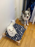 HELLOJOY猫窝狗窝四季通用小型犬离地透气狗垫子宠物行军床夏季睡觉用幼猫 实拍图