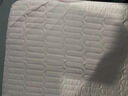 洁丽雅A类防水隔尿夹棉床垫防潮垫席梦思保护垫单人宿舍防滑褥子床垫子 丽莎-雾蓝【防水床垫款】 90*200【单床垫】 实拍图