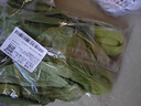 上海青500g(油菜) 实拍图